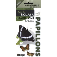 Guide-éclair Papillons